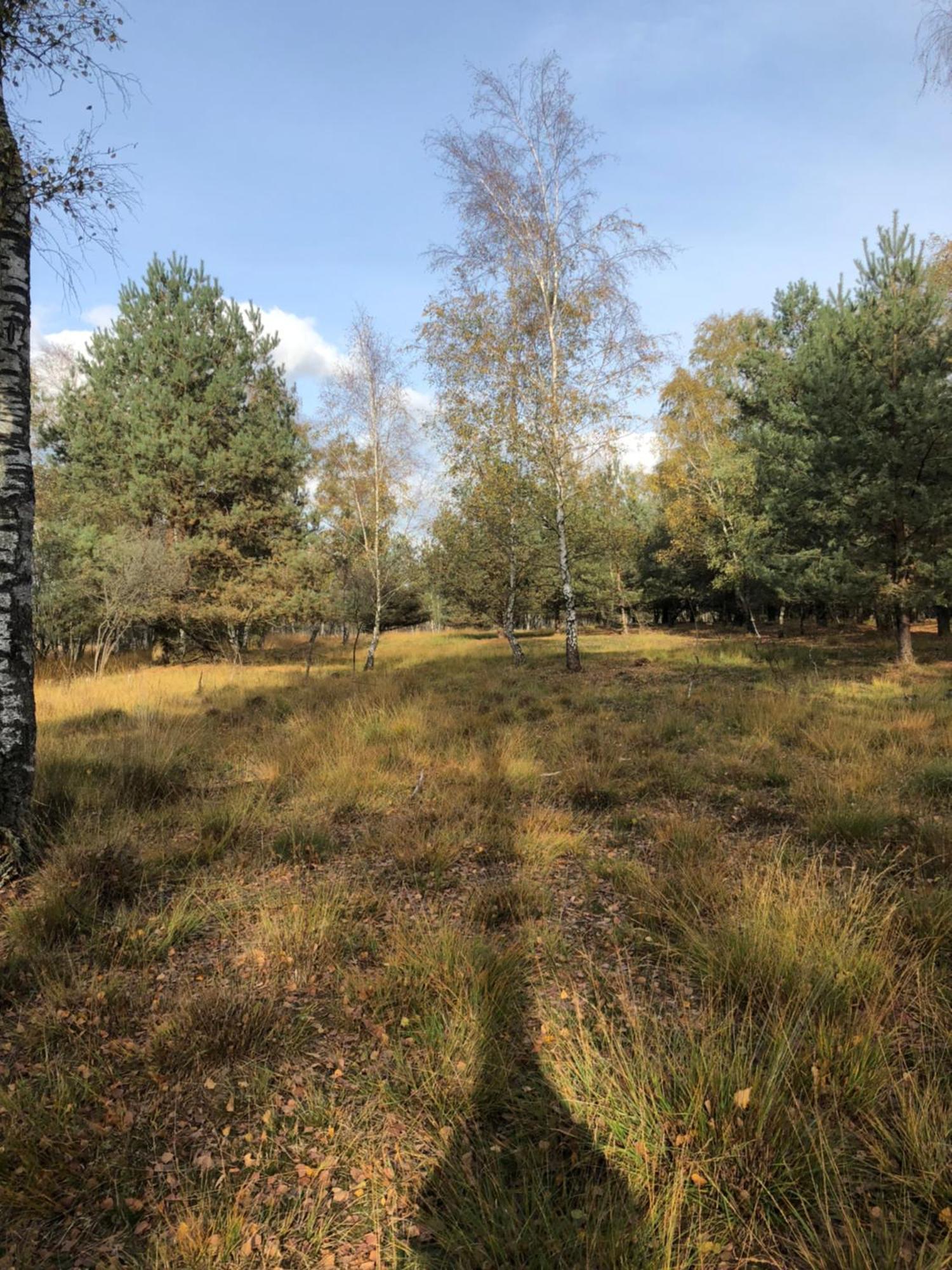 City Apparte Exklusiv - Direkt Am Antonius-Hospital - Stilvoll Wohnen Im Herzen Von Gronau Gronau  Buitenkant foto