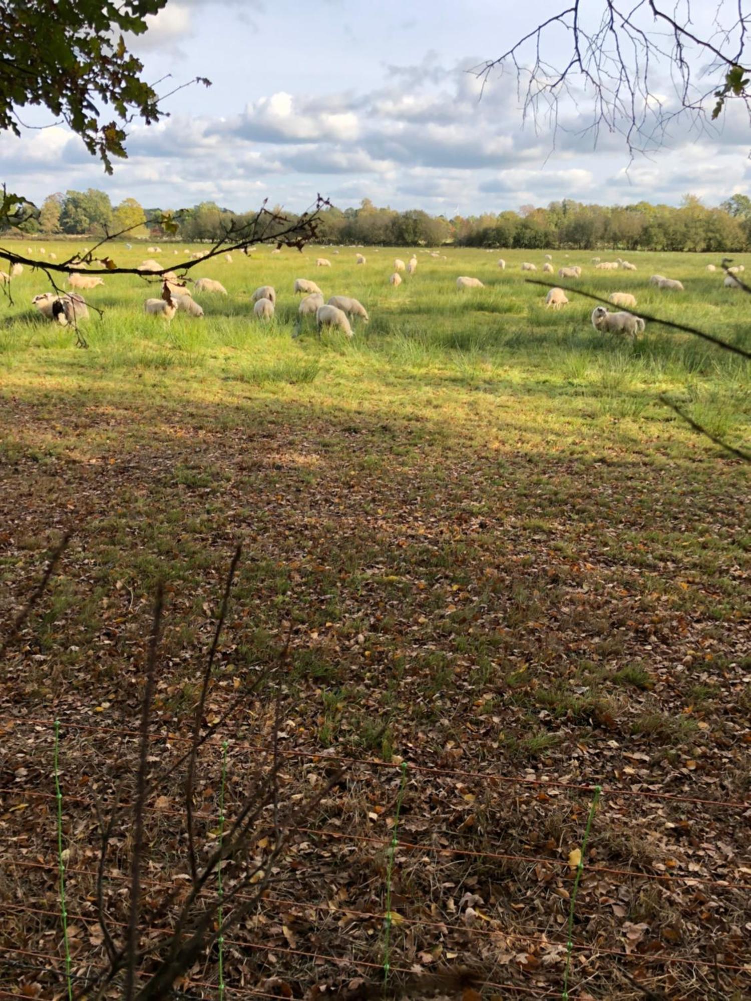 City Apparte Exklusiv - Direkt Am Antonius-Hospital - Stilvoll Wohnen Im Herzen Von Gronau Gronau  Buitenkant foto